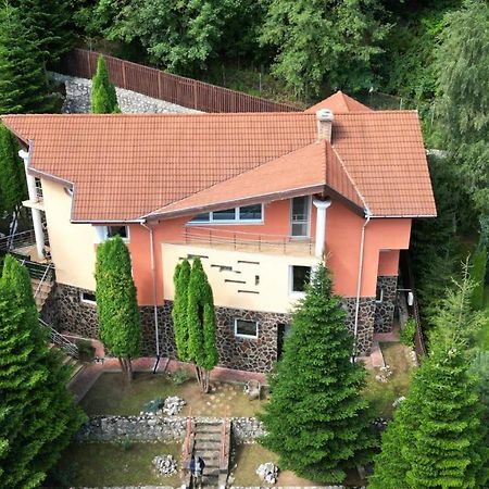 Marble Villa: Luxury Estate - Central But Intimate Sinaia Luaran gambar