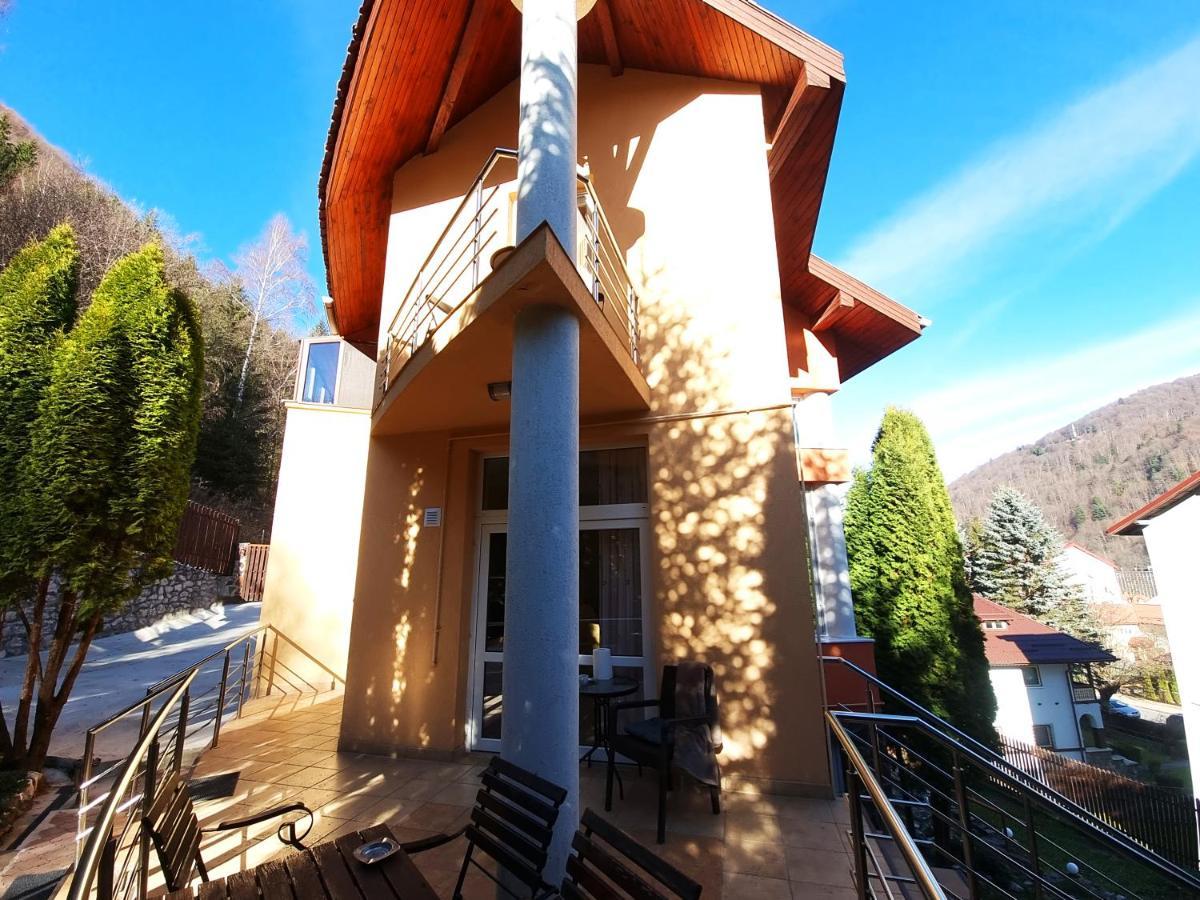 Marble Villa: Luxury Estate - Central But Intimate Sinaia Luaran gambar