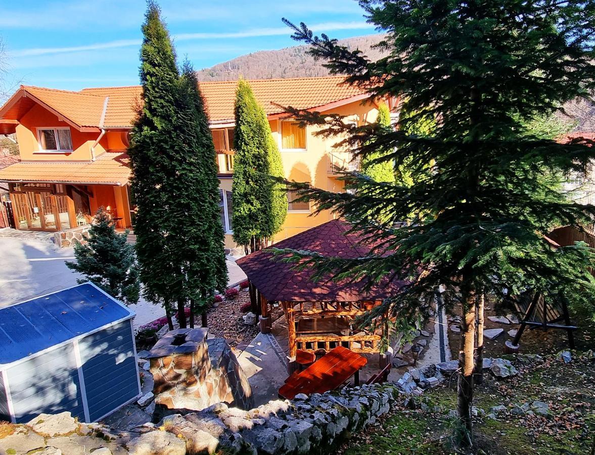 Marble Villa: Luxury Estate - Central But Intimate Sinaia Luaran gambar