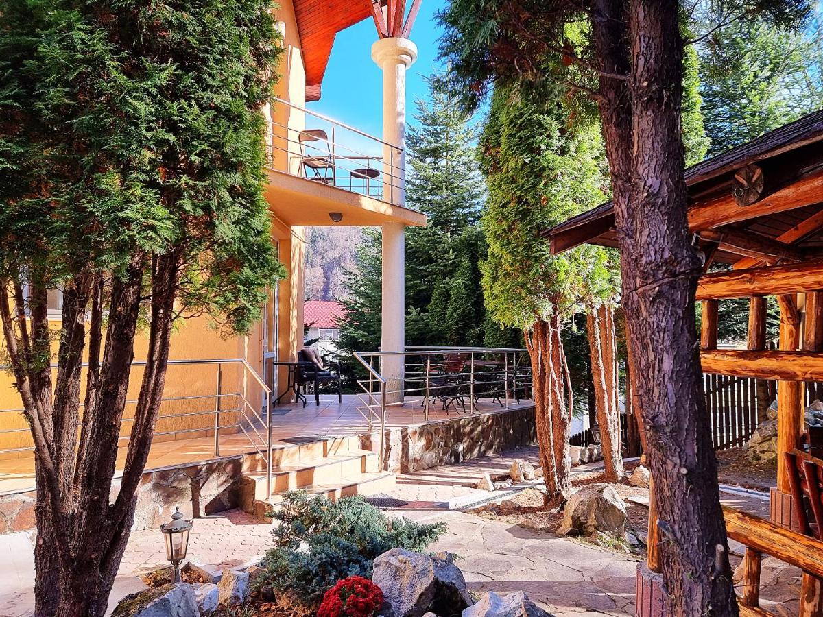 Marble Villa: Luxury Estate - Central But Intimate Sinaia Luaran gambar
