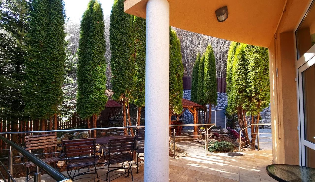 Marble Villa: Luxury Estate - Central But Intimate Sinaia Luaran gambar