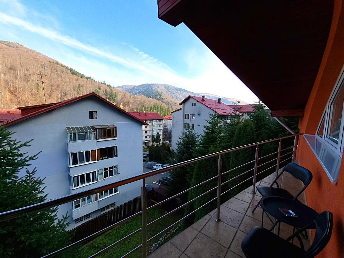 Marble Villa: Luxury Estate - Central But Intimate Sinaia Luaran gambar