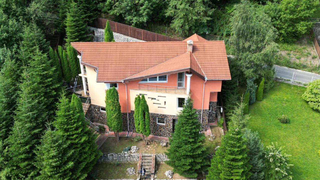 Marble Villa: Luxury Estate - Central But Intimate Sinaia Luaran gambar